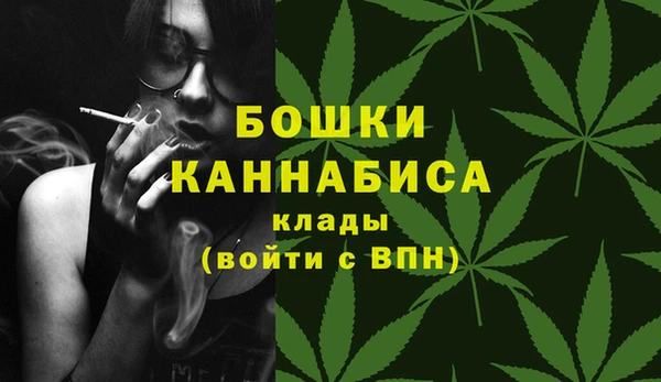 шишки Белоозёрский